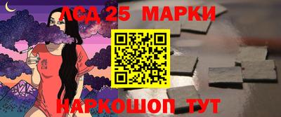 СК Норильск