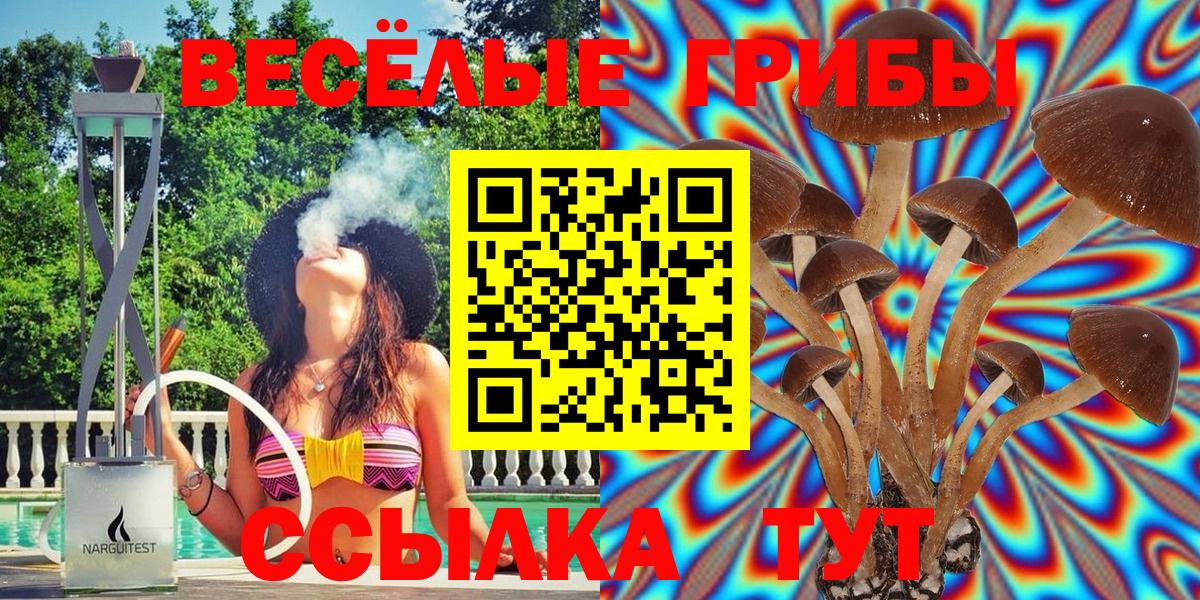 Псилоцибиновые грибы GOLDEN TEACHER Благодарный