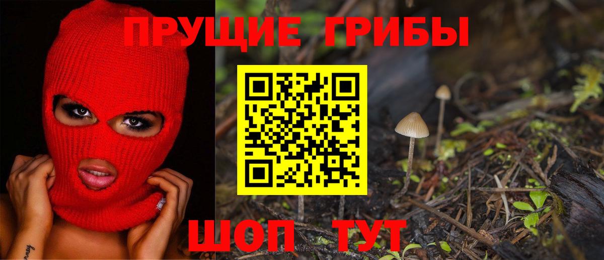 Псилоцибиновые грибы MAGIC MUSHROOMS  Вход с VPN  Псилоцибиновые грибы прущие грибы  Благодарный 